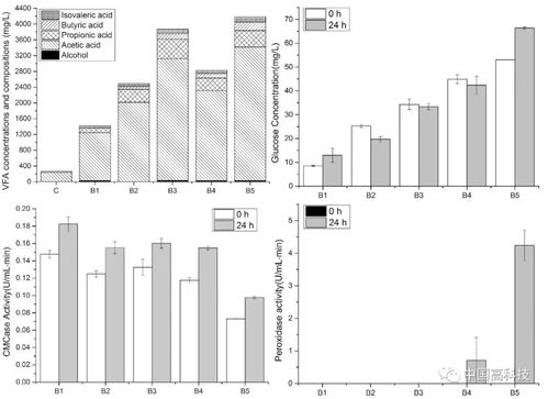中科院科學(xué)家提出新方法 前沿科技助力提升纖維素生物質(zhì)厭氧發(fā)酵沼氣產(chǎn)量與生物質(zhì)能資源數(shù)據(jù)庫(kù)信息系統(tǒng)