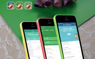 鼎維 教育軟件定制及系統(tǒng)開(kāi)發(fā)公司