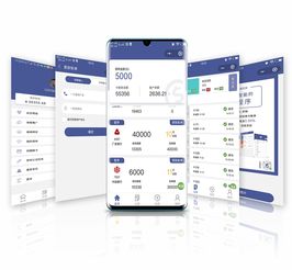 善巧科技智能還款小程序系統定制開發oem