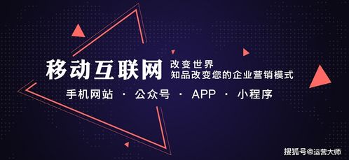 定制開發app公司 開發軟件app需要多少錢 app是怎么開發的